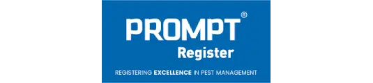 prompt reg